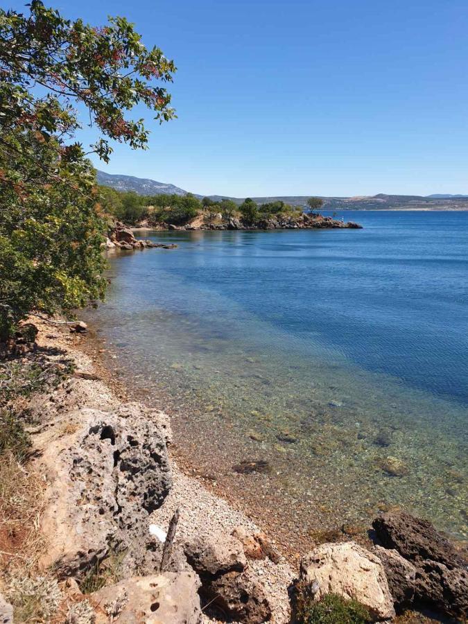 Vito Διαμέρισμα Starigrad Paklenica Εξωτερικό φωτογραφία